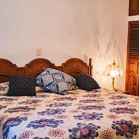 Villa Flores, Casa En El Centro De Mascota Eksteriør billede