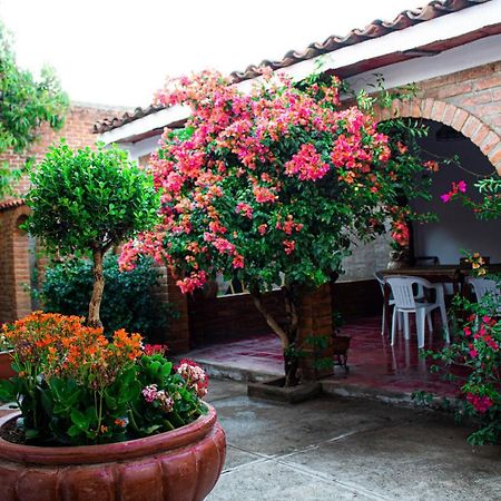 Villa Flores, Casa En El Centro De Mascota Eksteriør billede