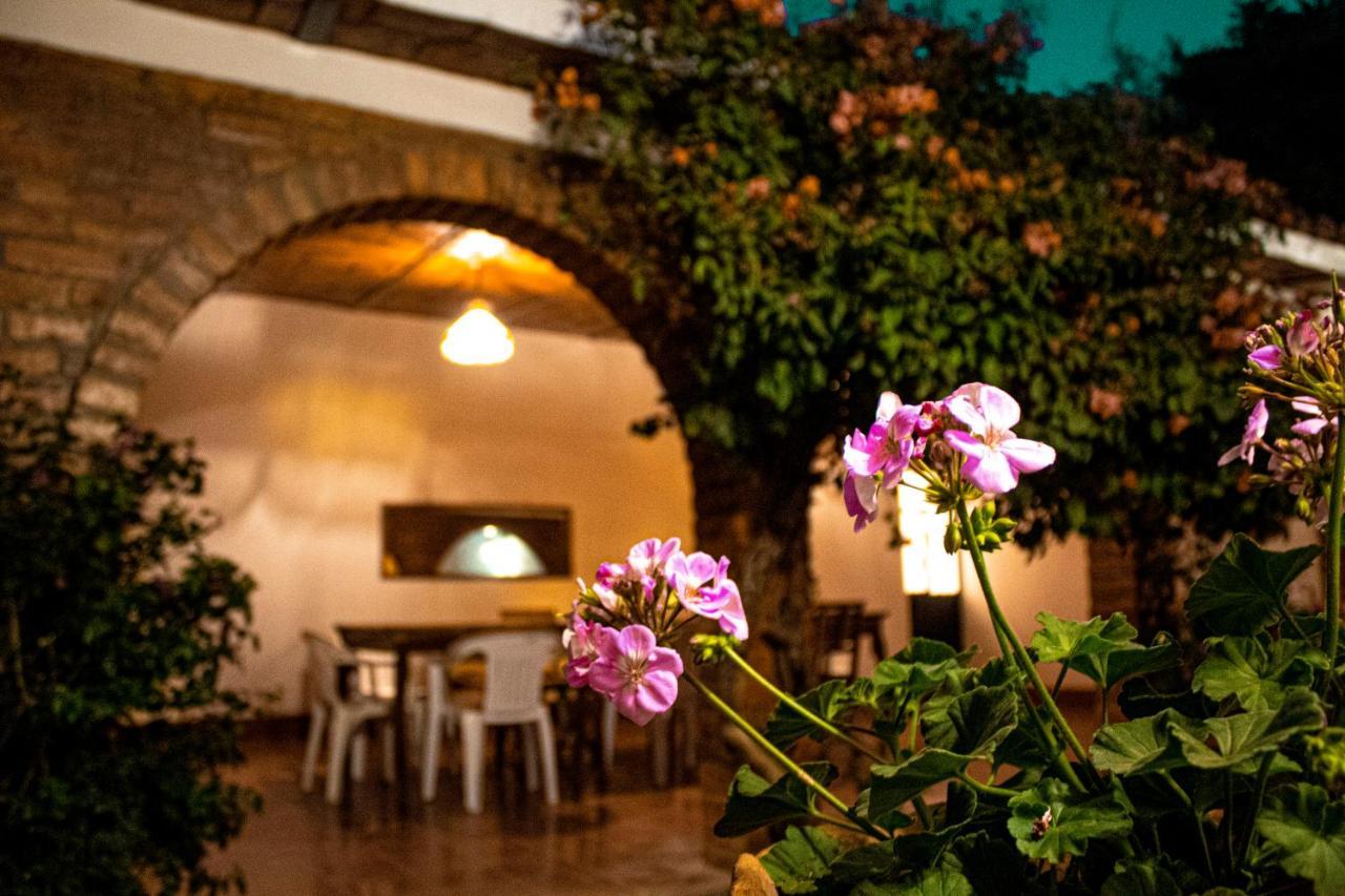 Villa Flores, Casa En El Centro De Mascota Eksteriør billede