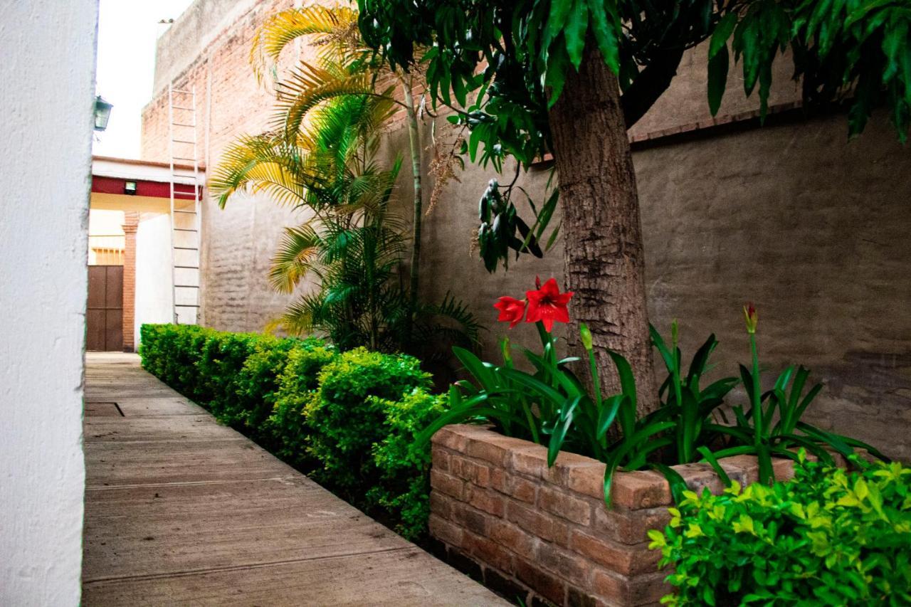Villa Flores, Casa En El Centro De Mascota Eksteriør billede