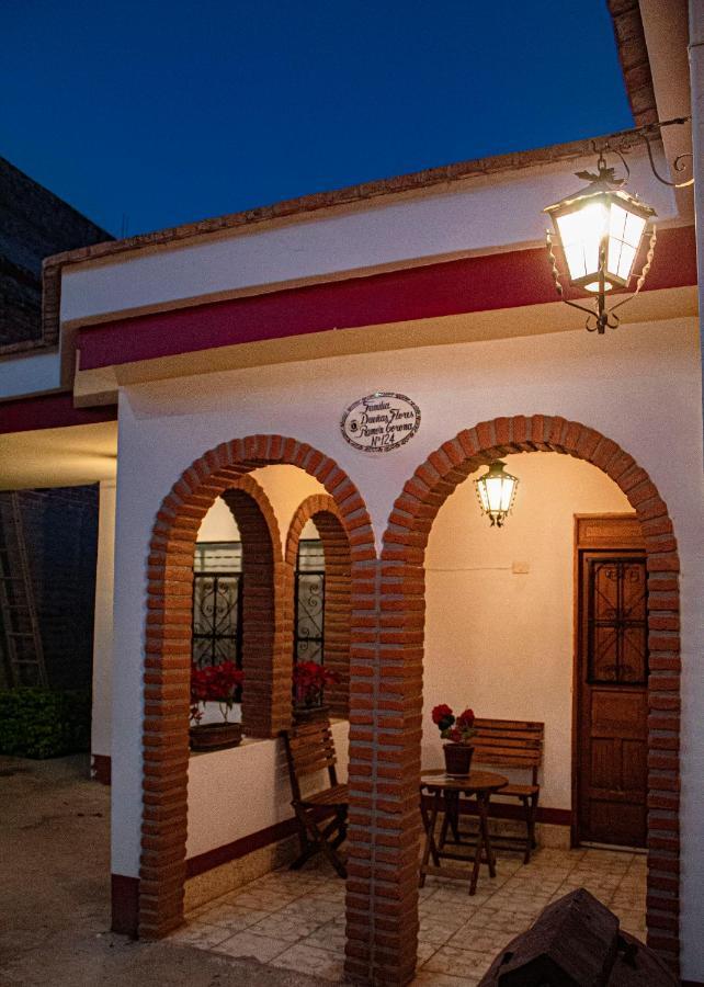 Villa Flores, Casa En El Centro De Mascota Eksteriør billede
