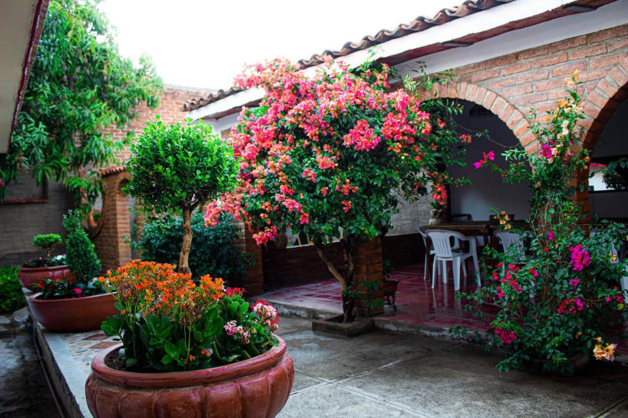Villa Flores, Casa En El Centro De Mascota Eksteriør billede